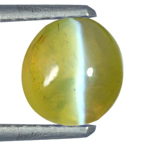 1.56 Cts Natural Top Chrysoberyl Cats Eye Round Cab Unheated Sri Lanka 6.5 mm