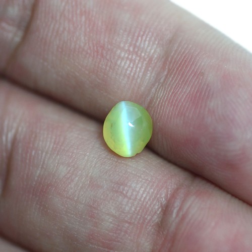 1.60 Cts Real Apple Green Chrysoberyl Cats Eye Oval Cabochon Unheated Sri Lanka