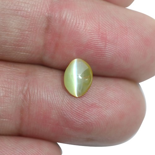 1.59 Cts Real Apple Green Chrysoberyl Cats Eye Oval Cabochon Unheated Sri Lanka