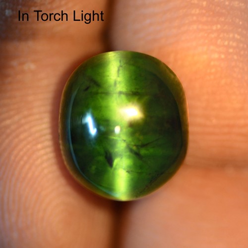 8.27 Cts Natural Lustrous Rich Green Tourmaline Cats Eye Oval Cabochon 12x10 mm