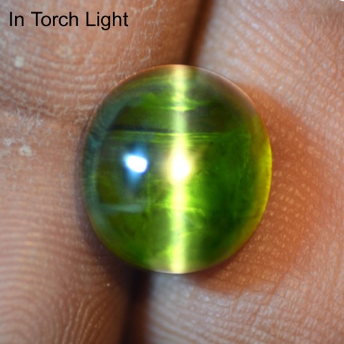 9.12 Cts Natural Lustrous Sharp Green Tourmaline Cats Eye Oval Cab Brazil Loose