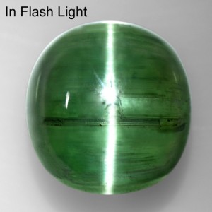 6.20 Cts Natural Lustrous Sharp Green Tourmaline Cats Eye Fancy Round Cab Brazil