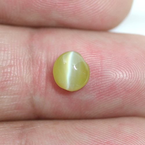 1.69 Cts Real Apple Green Chrysoberyl Cats Eye Round Cabochon Unheated Sri Lanka