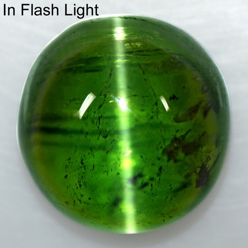 13.60 Cts Natural Lustrous Olive Green Tourmaline Cats Eye Round Cab Video